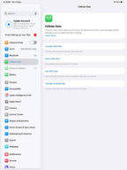 iPad Pro 13 M5 Black Cellular 100% (7 Cycles) Original With Box In Box