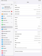 iPad Pro 13 M5 Black Cellular 100% (7 Cycles) Original With Box In Box