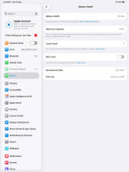 iPad Pro 13 M5 Black Cellular 100% (7 Cycles) Original With Box In Box